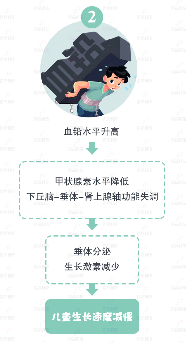 大“鉛”世界，別讓它阻礙了孩子的身高_(dá)09.gif