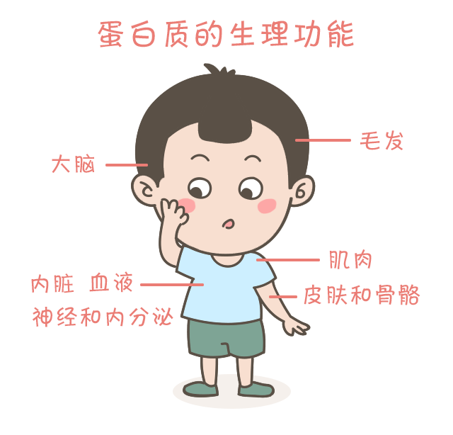 蛋白質(zhì)，為孩子長(zhǎng)高添動(dòng)力！_03.gif
