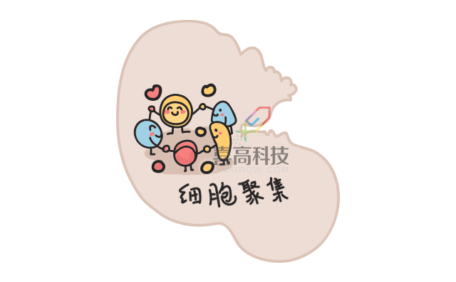 11.22看完大樓建造過程，就知道孩子是怎么長高的-_02.gif