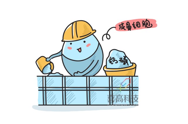 11.22看完大樓建造過程，就知道孩子是怎么長高的-_06.png