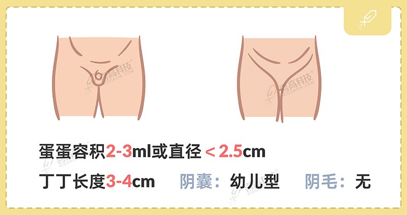 1_畫(huà)板 1 副本 3.jpg