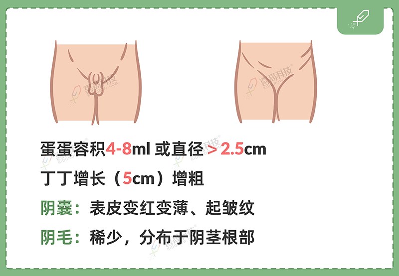 1_畫(huà)板 1 副本 4.jpg