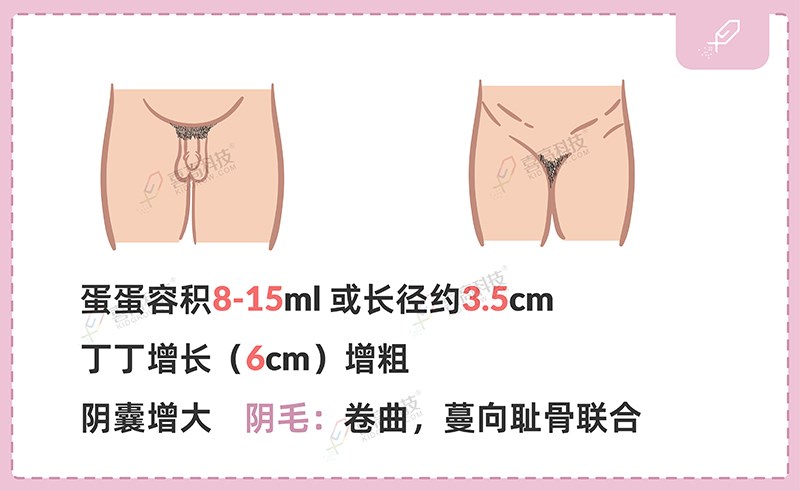 1_畫(huà)板 1 副本 5.jpg