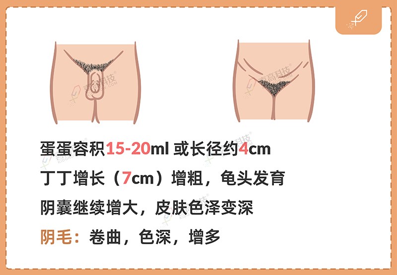 1_畫(huà)板 1 副本 6.jpg