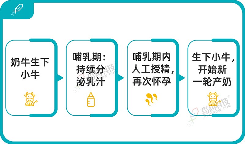 1_畫(huà)板 1.jpg